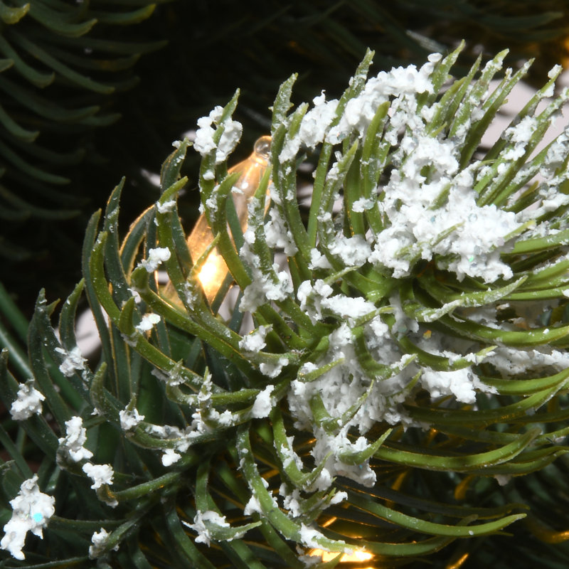 The Holiday Aisle® 4.5 ft. Trinity Spruce Tree with LED Lights