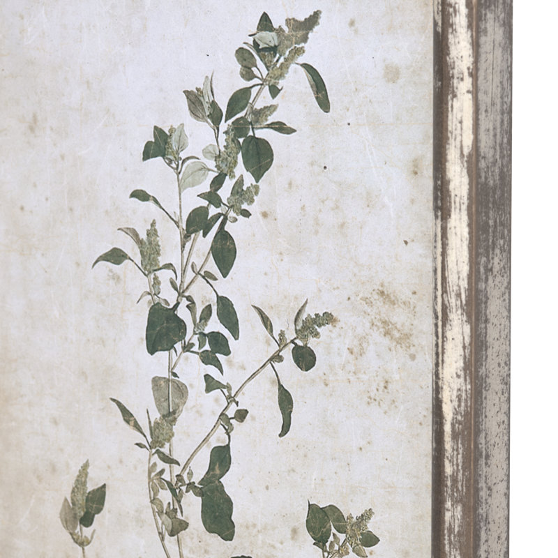 Old Olive Farm Collected Prints Set of 7