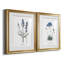 Lavande - ensemble de 2 reproductions d'impressions-467967546-467967548-467967536