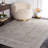 Dannen Performance Oriental Rug-121832557