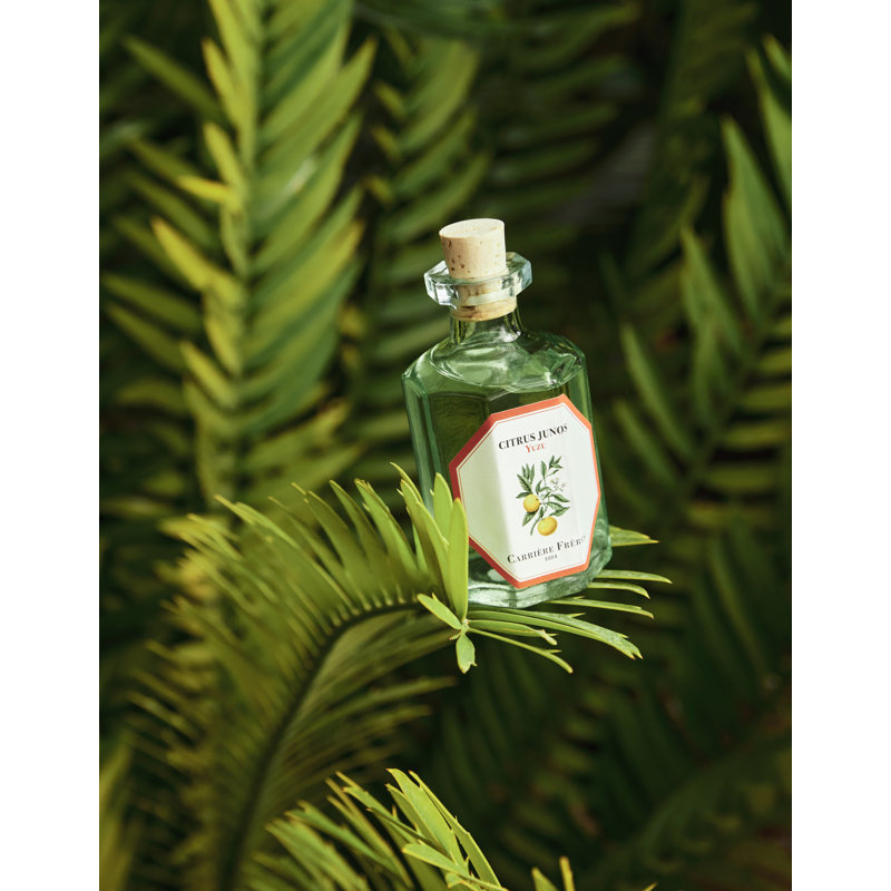 Fruits Diffuser, Citrus Junos