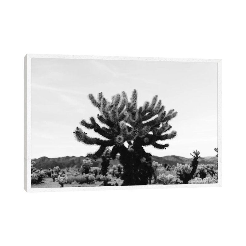 Cholla Cactus Garden XI by Bethany Young - Print on Canvas, White Framed, 66.04cm H x 101.6cm W x 3.81cm D