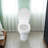 APRESSHUI 1.6 Gallons GPF Elongated Floor Mounted (Seat Included)