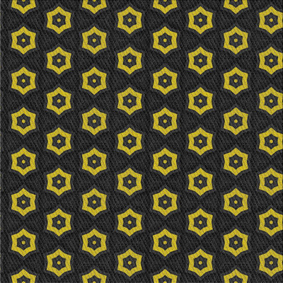 Indoor Rug