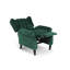 Doylestown 78cm Wide Wing Chair Recliner-688573473