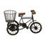 Sculpture en bois et tricycle Sufyaan