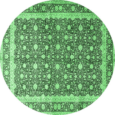 Maesynn Washable Oriental Indoor Rug