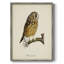 «French Owls II», reproduction encadrée - bois massif-142644582