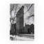 «Flat Iron Building» Avisha, reproduction de photo sur toile tendue-25330837