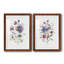Couleur variété I - ensemble de 2 peintures-1653149834-1653149829