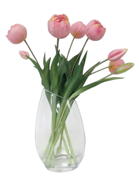Bébé tulipe rose dans un vase en verre effilé
