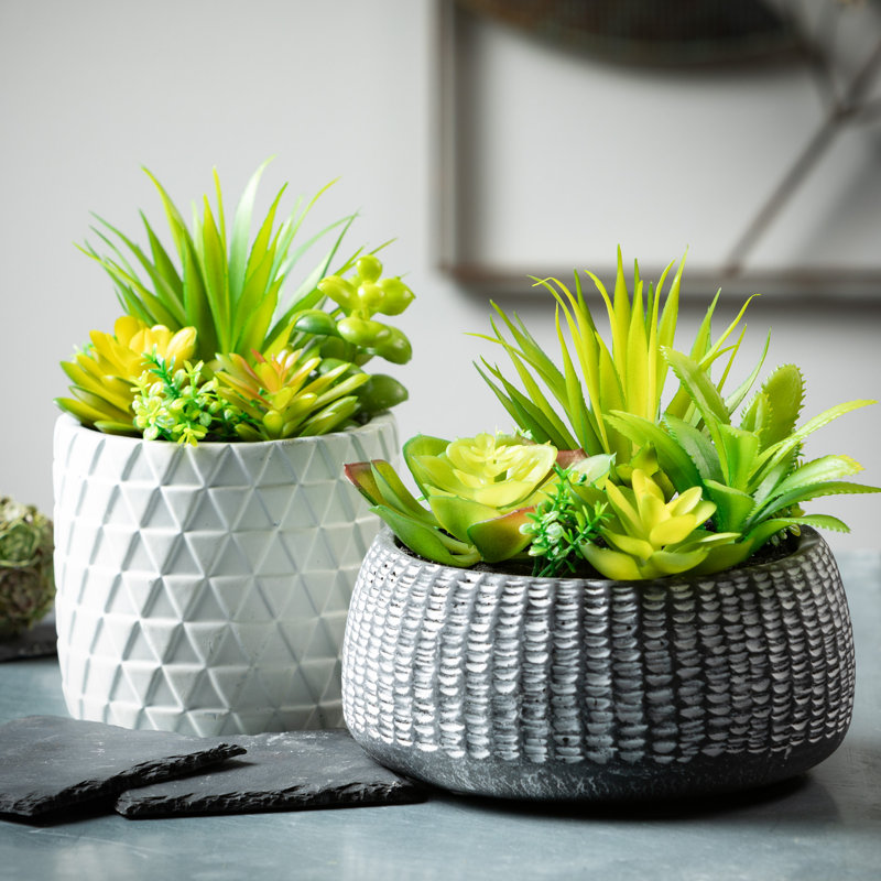Darwen 6'' Faux Succulent in Cement Planter