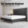 Belo Upholstered Platform Bed