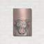 Art mural luxueux «Boho Cow 1» par Ashley Bradley, 16 po x 24 po-1980673368