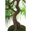 Anlin 50cm Faux Bonsai Tree in Pot
