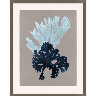 Seaweed On Taupe 3 Print by Hamptons