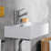 Quarelo 16.9'' L Bathroom Sink