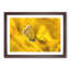 Yellow Butterfly - Picture Frame Painting Print-56739442-56739443