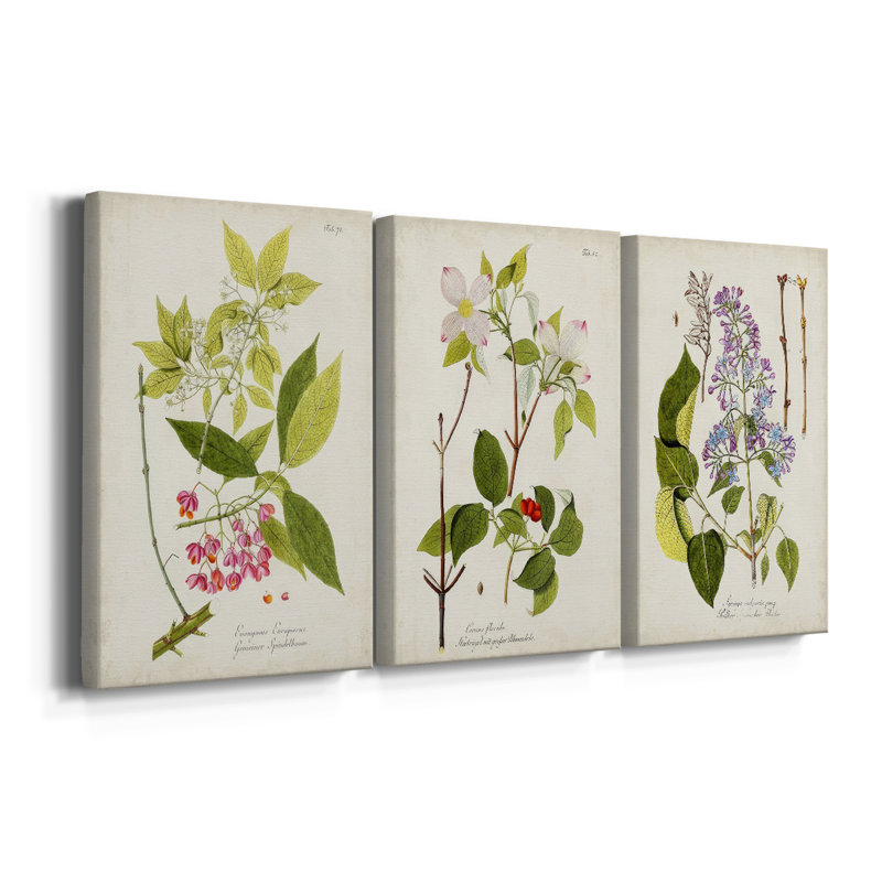 Arbre en fleurs IV - Toile tendue avec châssis sur mesure - 3 pièces, H 36 po x l 72 po