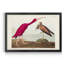 Scarlet ibis - reproduction d'art sur toile-1648441116-1648441119