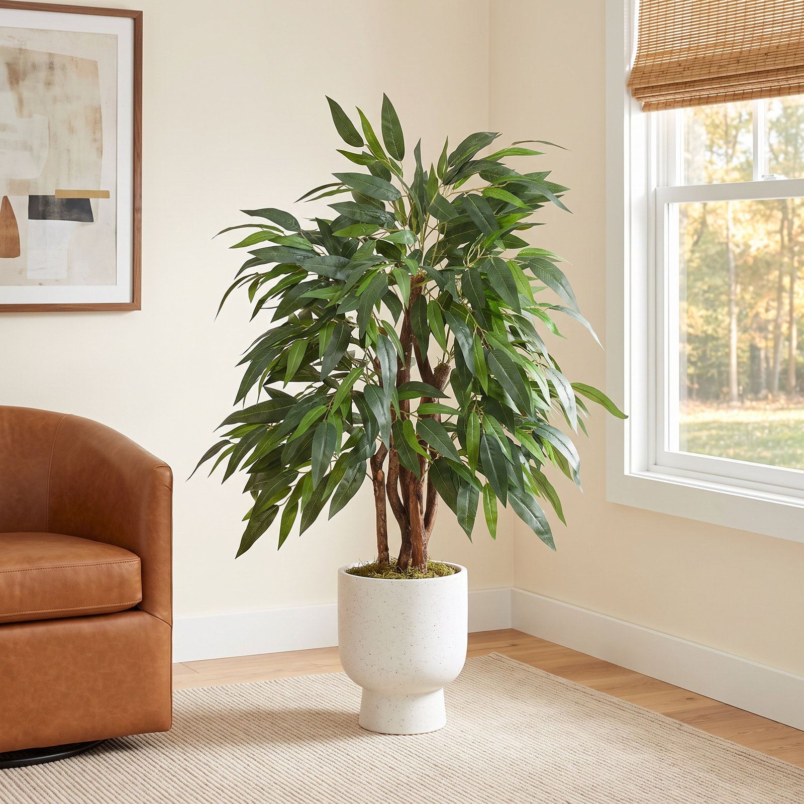 48" Mango Tree with Base Included