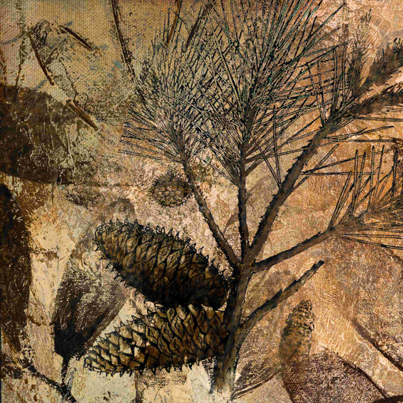 Pinecone Illustration 3 - peinture sur toile tendue, H 30 po x l 30 po