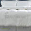 Édredon surdimensionné en satin de satin de coton tissé à rayures damassé 300TC Pointehaven-1048973871