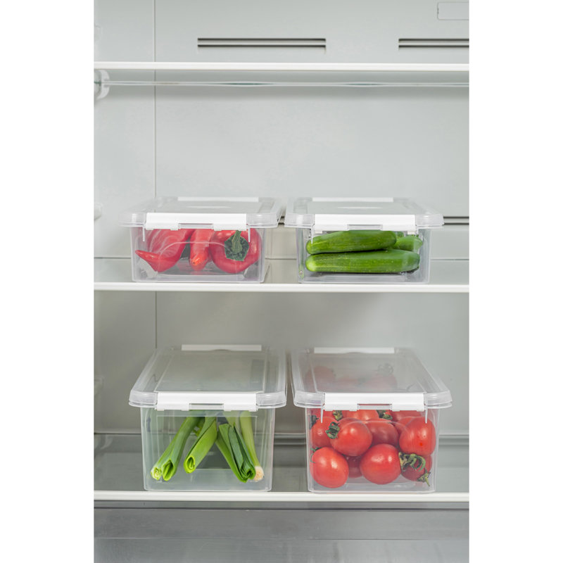 Durable Storage Box Set (4 Pieces), Transparent Plastic, 5.5 x 14.2 x 3.5 in (2 Pieces: 3500 ml) & 5.5 x 14.2 x 2.4 in (2 Pieces: 2500 ml) | BPA Free, Dishwasher Safe, Ideal for Organizing Home & Office
