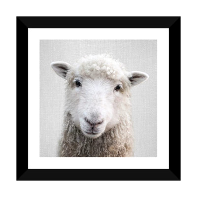 «Sheep» - reproduction de photo