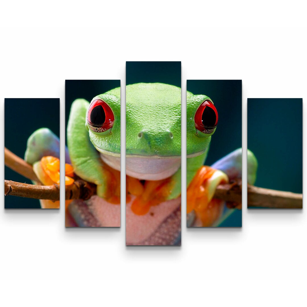 5-tlg. Leinwandbilder-Set Frosch mit roten Augen