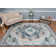 Mosely Oriental Indoor Rug
