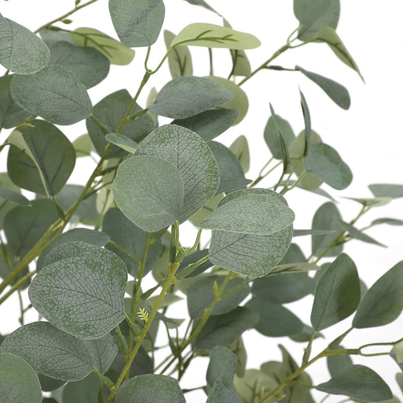 Plant, 121.92cm x 66cm