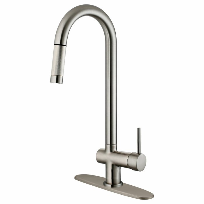 LessCare Pull Out Kitchen Faucet & Reviews | Wayfair