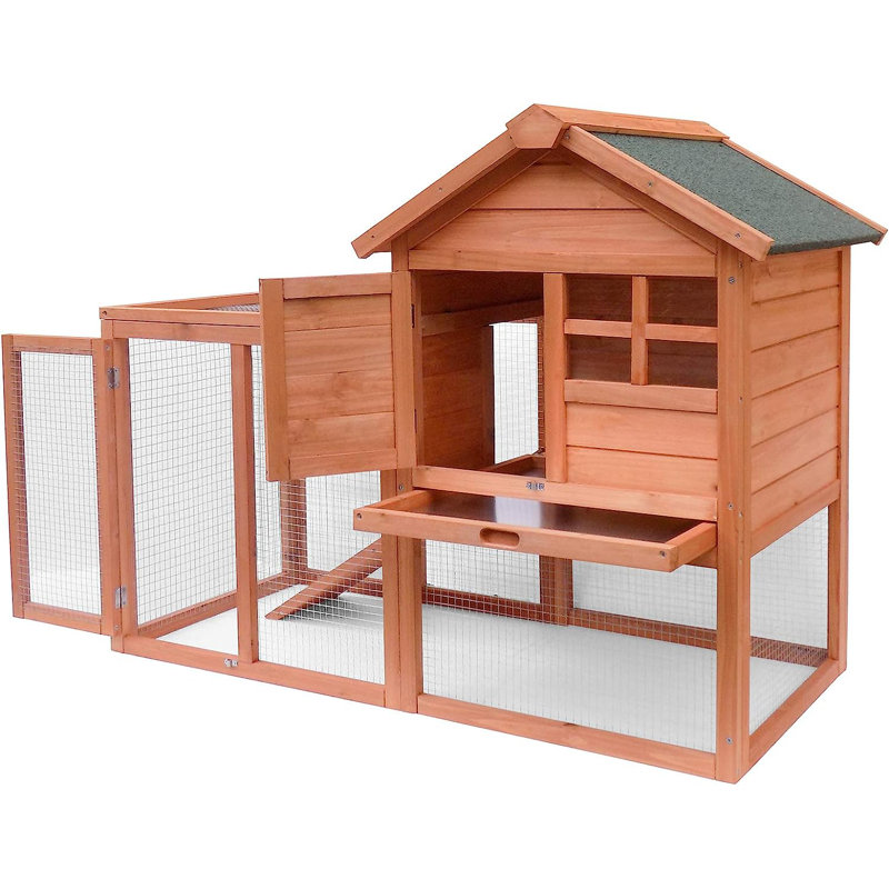 Poulailler 100 pieds carrés Deadeira, H 36,22 po x l 48 po x P 24,80 po