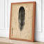 Feather on Aged Paper Japandi - Wrapped Canvas-952969074-952969086