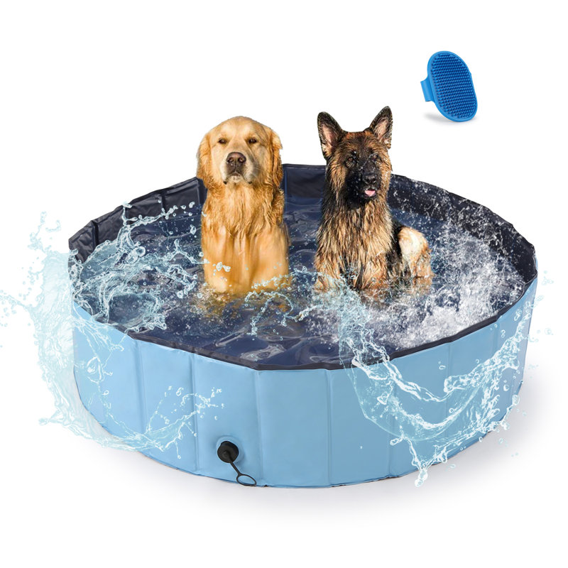 Baignoire portative pliable pour chien, H 12 po x l 48 po x P 48 po