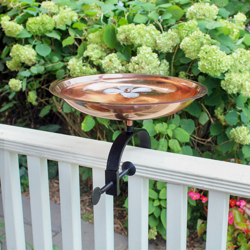 Bain d'oiseaux Dogwood avec support sur rail