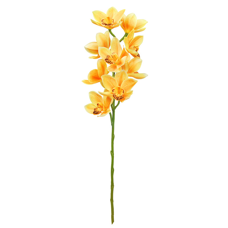 Tige d'orchidée Cymbidium, Jaune