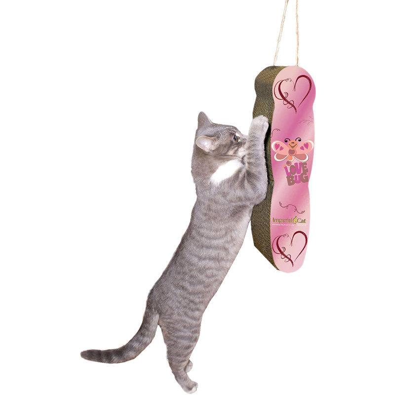 Chretien Scratching Post, Love Bug