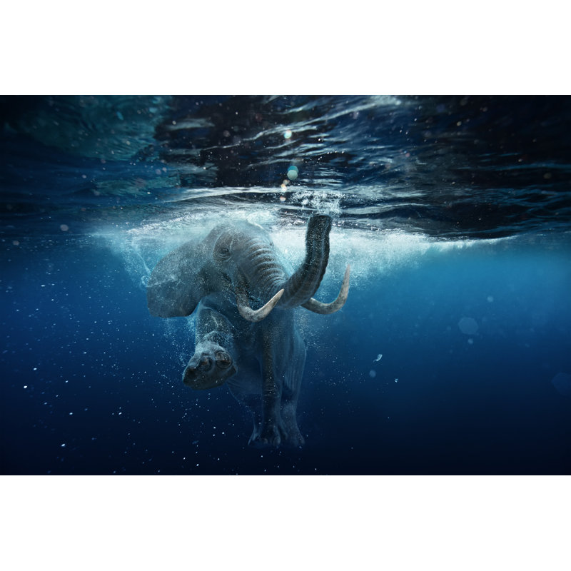 " Elephant Swim Underwater ", 24" H x 48" W x 1.5" D