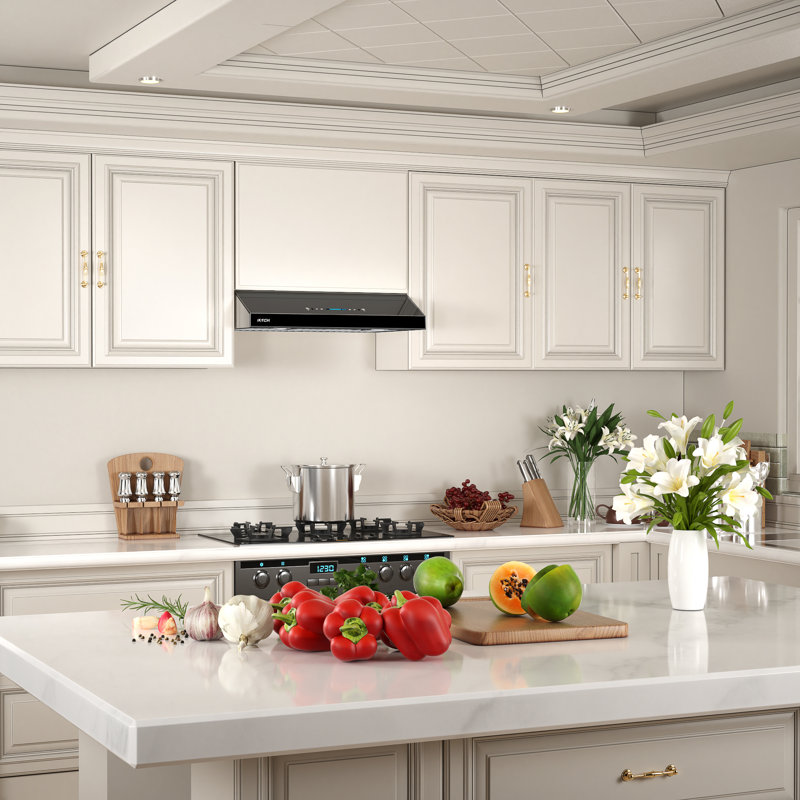 36'' 900 CFM Under Cabinet Range Hood in Black with Remote Control, Stainless Steel;Black