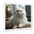 Cadre photo blanc