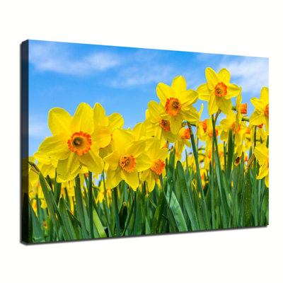 Yellow flower narcissus chrysanthemum poster