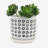 S/2 5/6" AZTEC PLANTER W/ SAUCER, BLACK