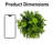 7.5 Inch Boxwood Ball No Pot Included