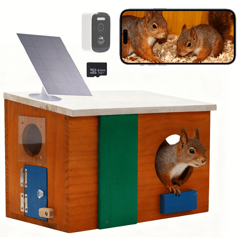 Smart Squirrel House with Caméra