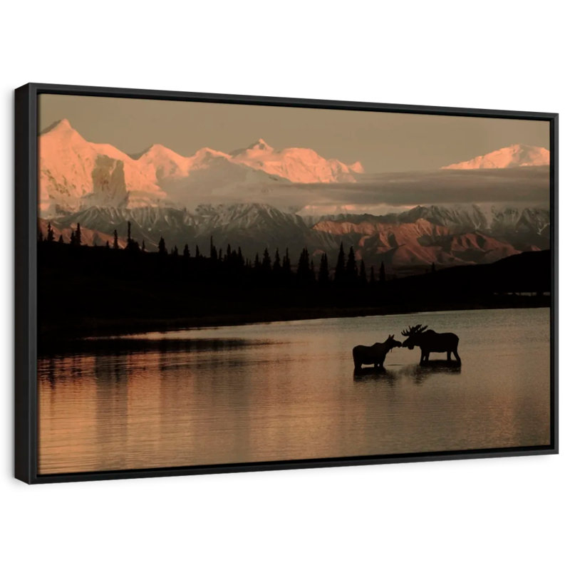 «Courting Moose In Wonder Lake», reproduction sur toile, H 29 po x l 43 po
