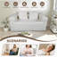 Loveseat Couch With Two Back Cushions
