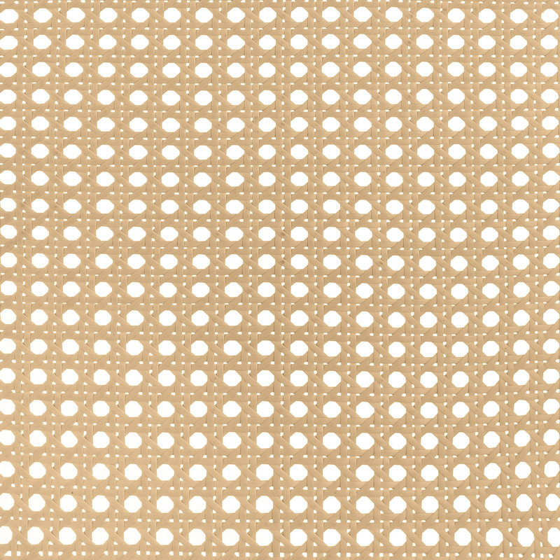 Begic Open Cane Webbing Metal Bed, Antique White, Queen