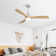 Ceiling Fan with LED Lights